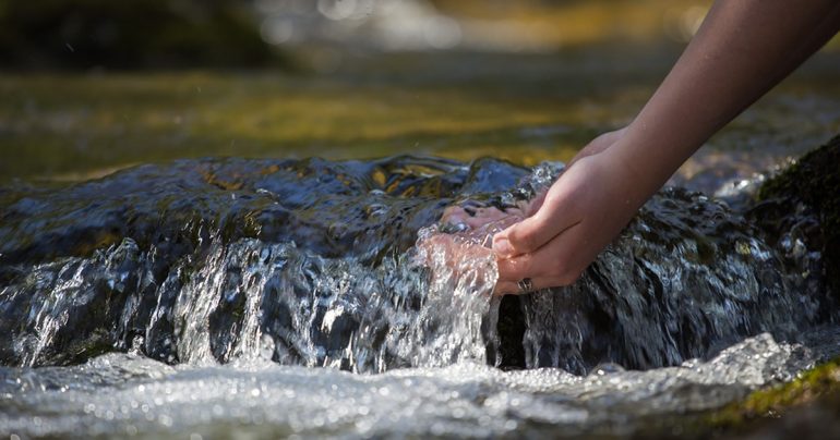 keeping your water clean