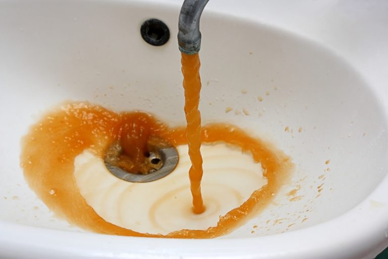 tannins in water
