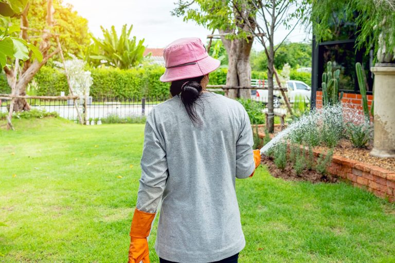 watering lawn