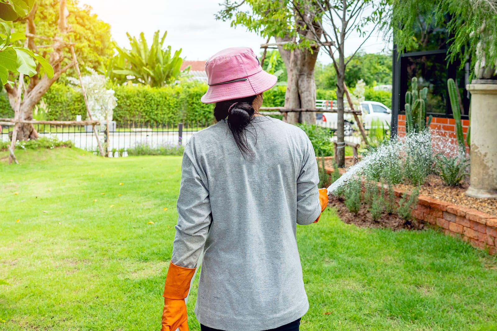 watering lawn