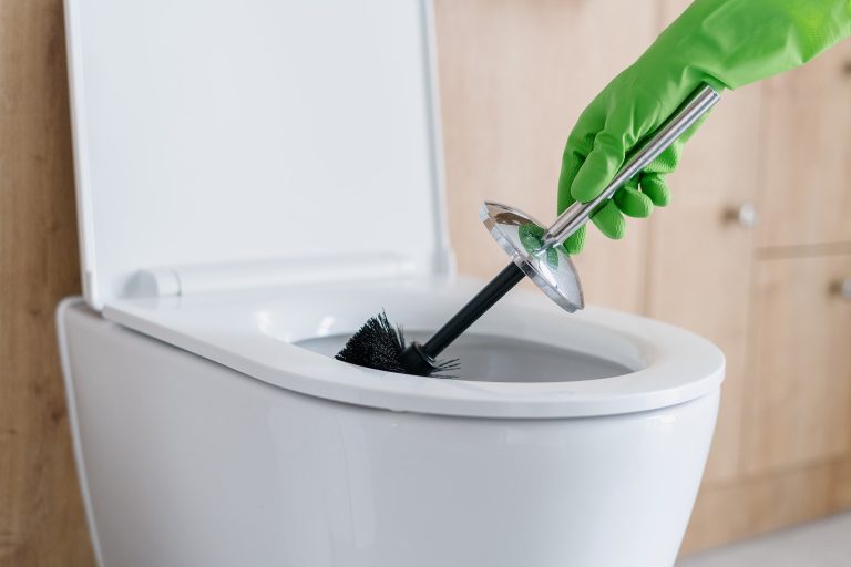 clean toilet
