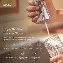 Moen Reverse osmosis filter capabilities