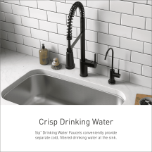 Moen sip faucet overview