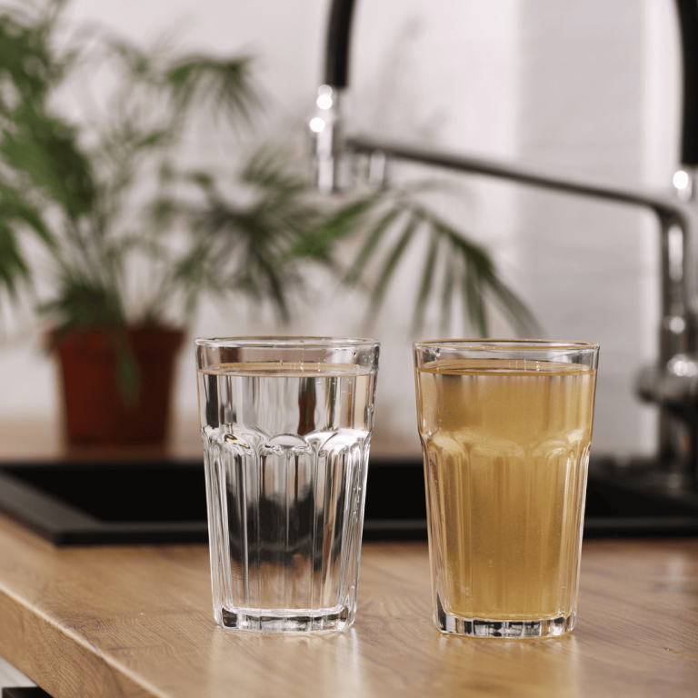 contaminated water example image