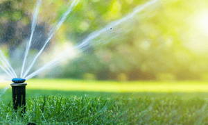 Nitrates Water Runoff on Grass