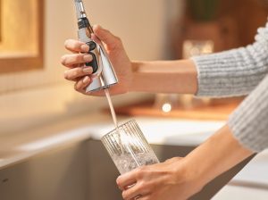 Moen Faucet