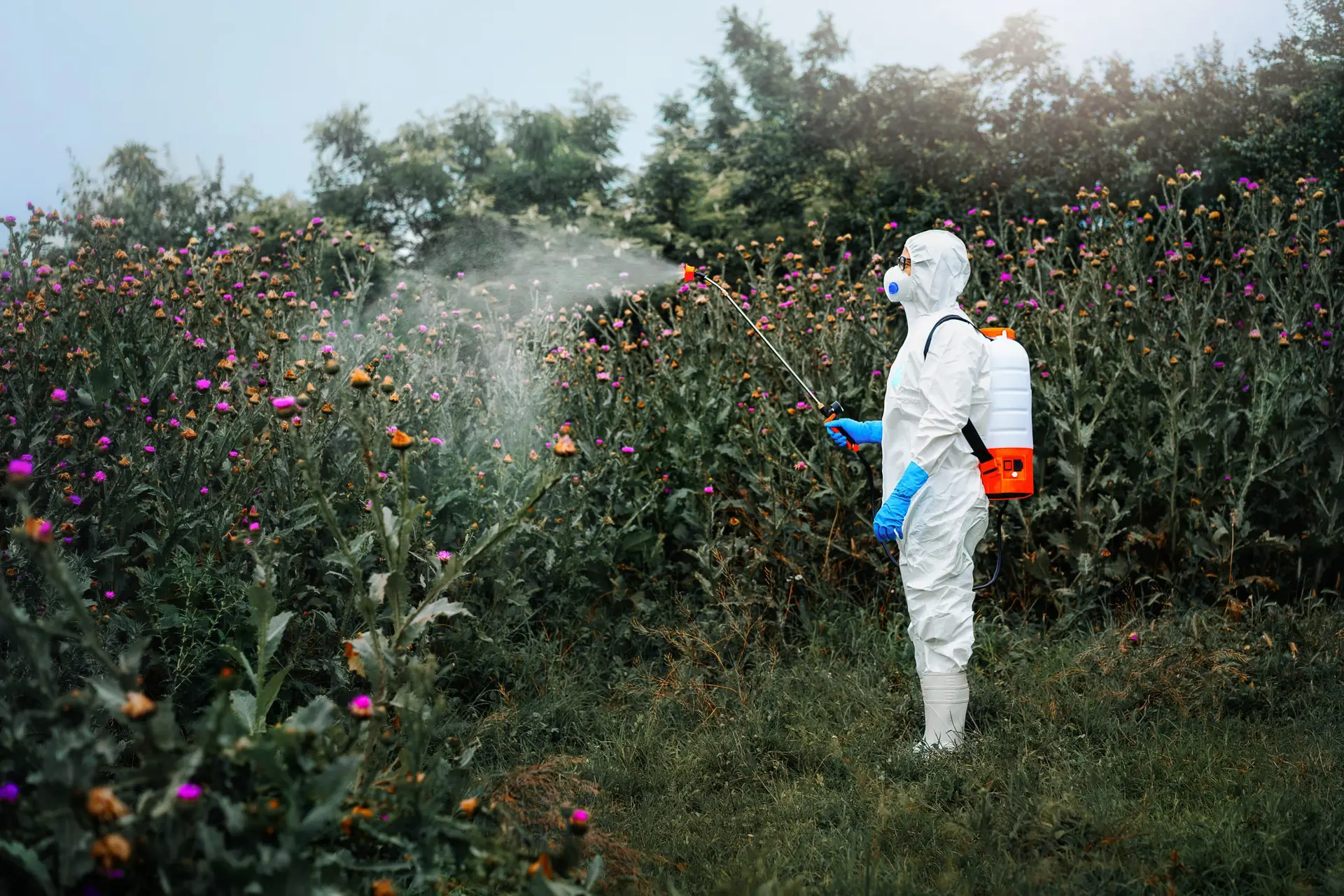 Glyphosate In Water - SpringWell Water Filtration